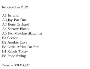 Album Descriptions for website